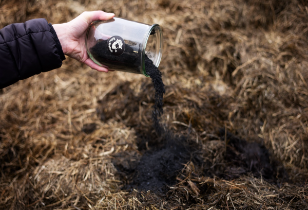 Terra Preta wird aus einem Glas auf Pflanzenreste geschüttet