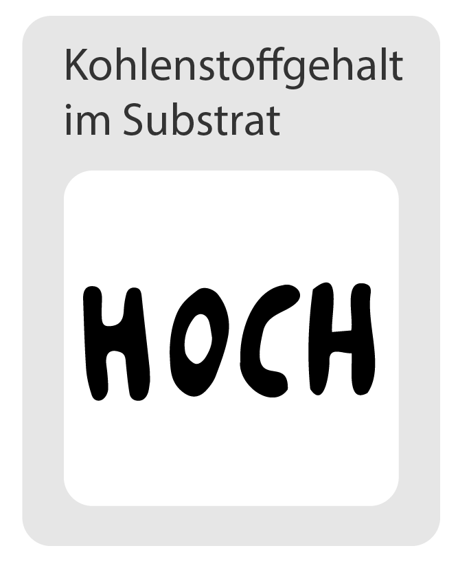Kohlenstoffgehalt im Substrat: hoch