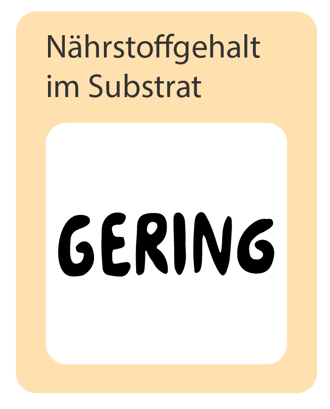 Nährstoffgehalt im Substrat: gering