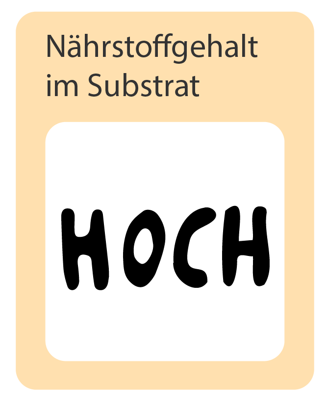 Nährstoffgehalt im Substrat: hoch