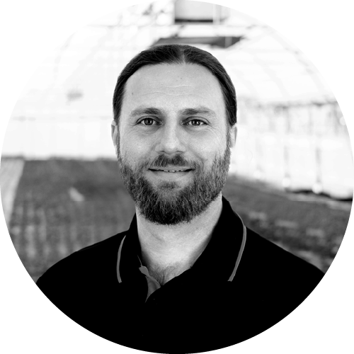 Peter der Bienärversteher