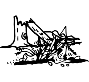 Biomasse, die pyrolisiert werden kann